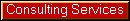 Consulting Services